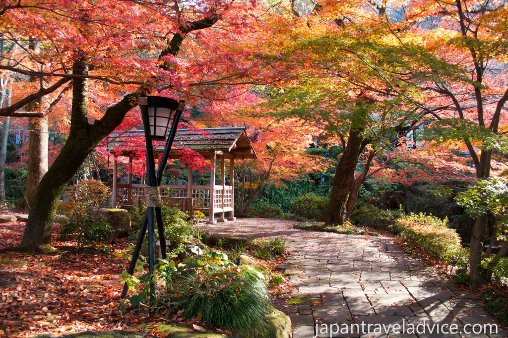 Gifu Park