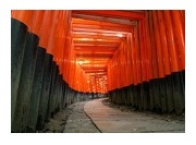 Fushimi Inari Shrine