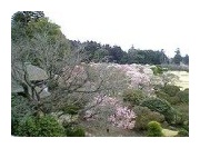 Kairakuen Garden