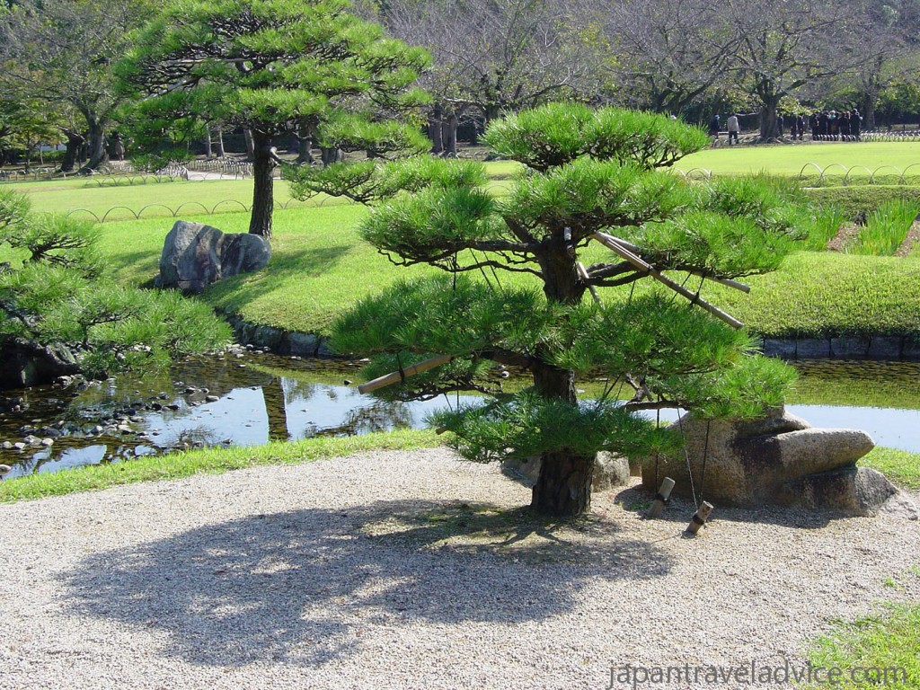 Korakuen Garden Japan Travel Advice