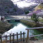 Hanchi with Bridge and Ume Grove