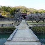 Stone Bridge and Ume Grove