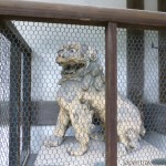 Komainu 2 at Himure Hachimangu Shrine