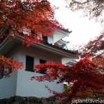 Autumn Leaves at Gujo Hachiman Castle