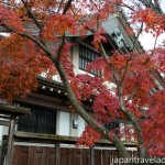 Autumn Colours at Kokeizan Eihoji Temple