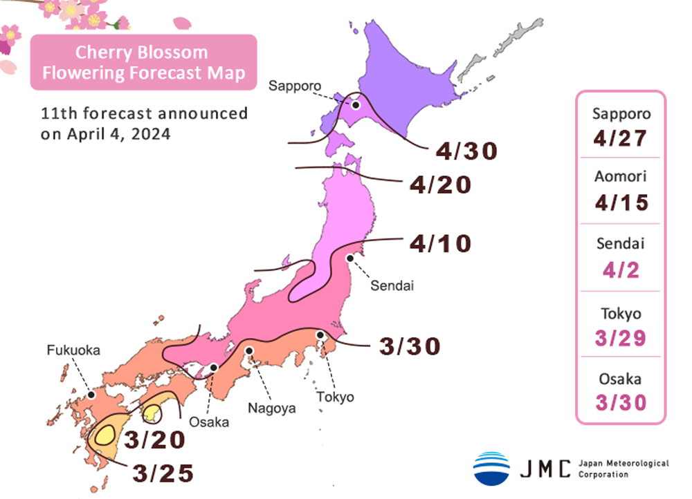 Japan Cherry Blossom Forecast Map 2024