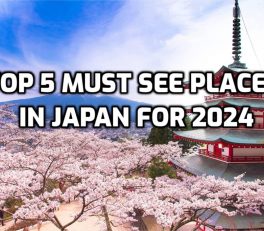 Top 5 Must See Places in Japan for 2024