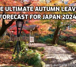 The Ultimate Autumn Leaves Forecast for Japan 2024