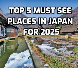 Top 5 Must See Places in Japan for 2025