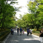 Approach to Kinkakuji Temple