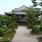 Todaiji Temple Grounds and Gardens