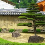 Pine and Garden at Horyuji