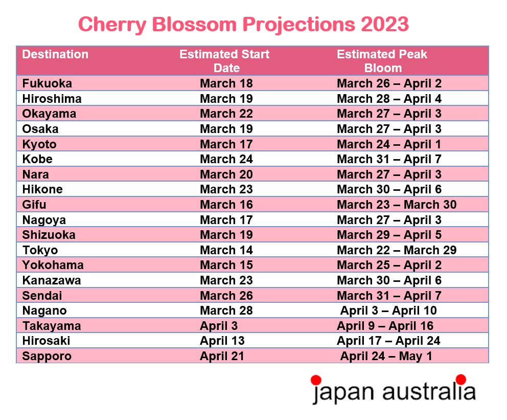 Cherry Blossom Reports 2023 - Osaka: Petals Starting To Fall